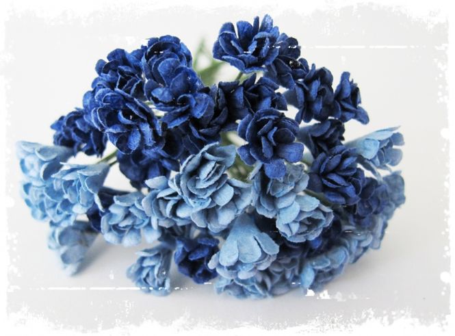 Hovedbilde Rufsete blomsterknopper, blå
